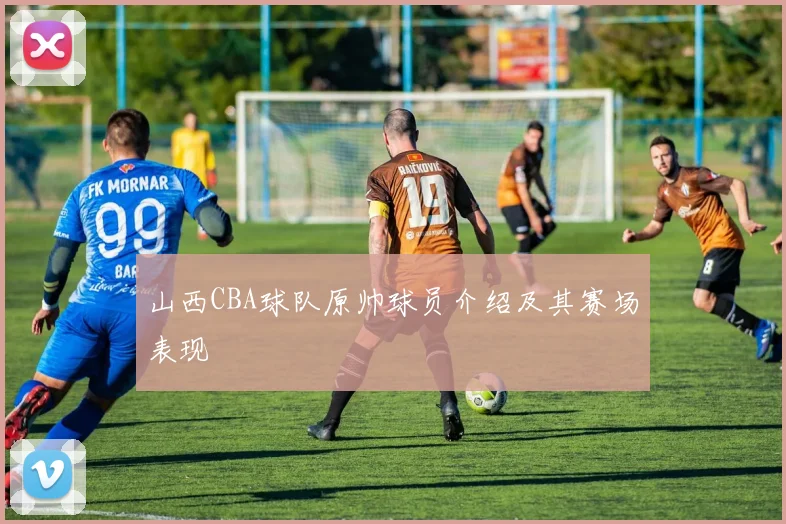 山西CBA球队原帅球员介绍及其赛场表现