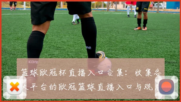 篮球欧冠杯直播入口合集：收集各大平台的欧冠篮球直播入口与观看方式