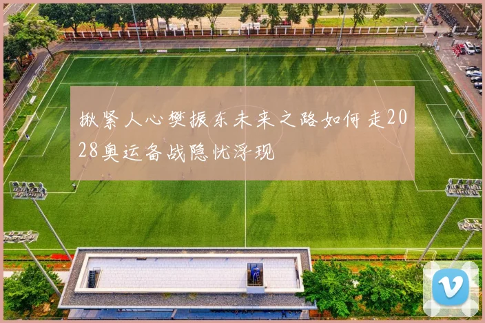 揪紧人心樊振东未来之路如何走2028奥运备战隐忧浮现