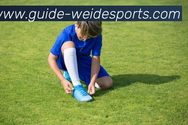 伟德体育平台生态图